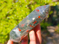 Polished Double Terminated Bloodstone Points x 6 From Swaziland