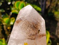 Polished Smokey Window Quartz Crystal x 1 From Madagascar