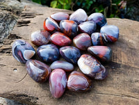 Polished Sashe River Agate Palm Stones x 20 From Zimbabwe