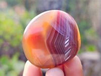 Polished Sashe River Agate Palm Stones x 20 From Zimbabwe