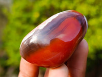 Polished Sashe River Agate Palm Stones x 20 From Zimbabwe