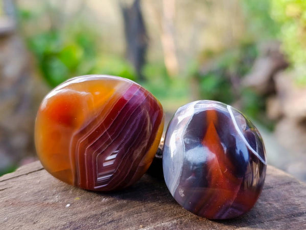 Polished Sashe River Agate Palm Stones x 20 From Zimbabwe