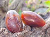 Polished Sashe River Agate Palm Stones x 20 From Zimbabwe