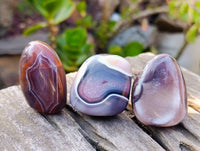 Polished Sashe River Agate Palm Stones x 20 From Zimbabwe