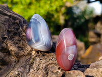 Polished Sashe River Agate Palm Stones x 20 From Zimbabwe