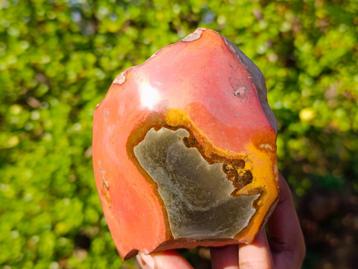 Polished On One Side Polychrome Jasper x 3 From Madagascar - Toprock Gemstones and Minerals 