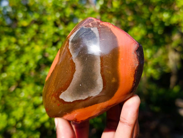 Polished On One Side Polychrome Jasper x 3 From Madagascar