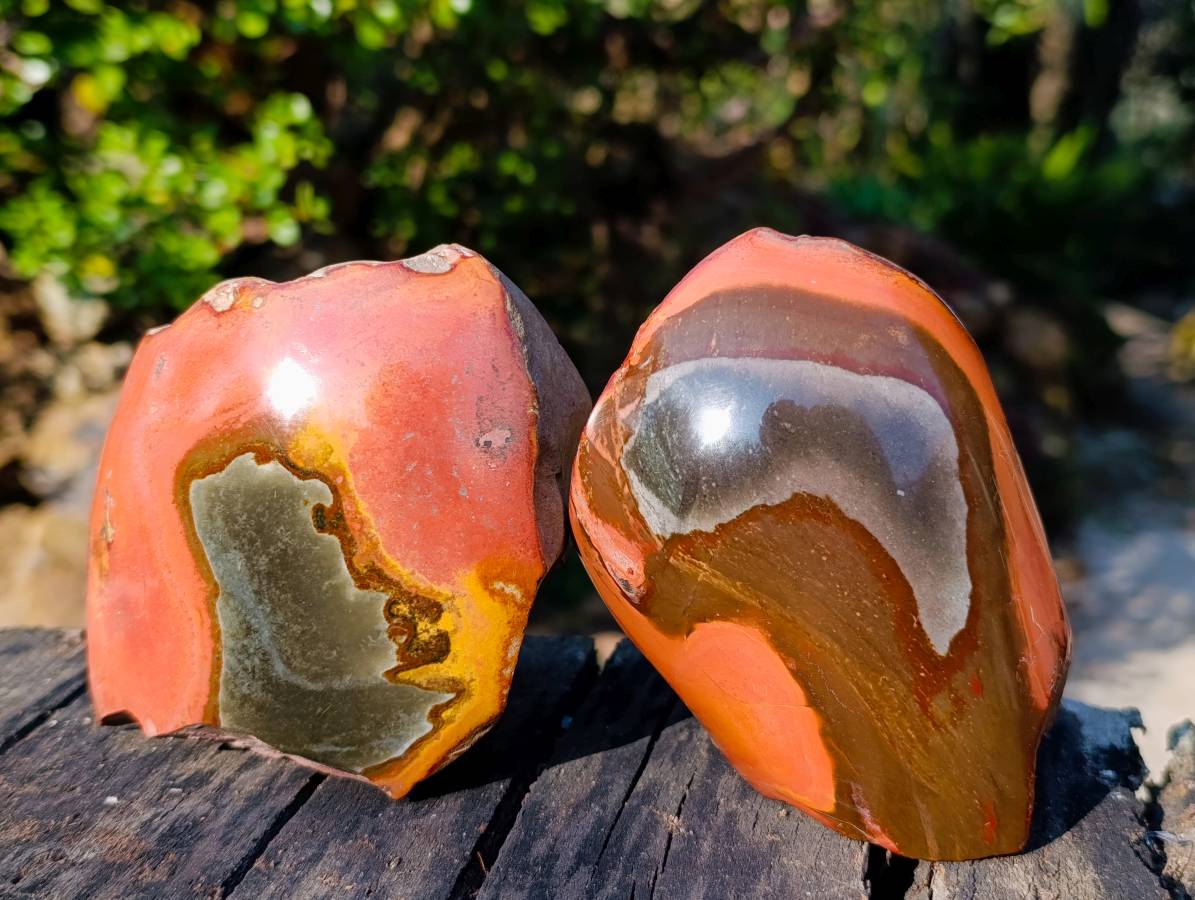 Polished On One Side Polychrome Jasper x 3 From Madagascar - Toprock Gemstones and Minerals 