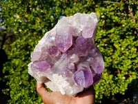Natural Jacaranda Amethyst Cluster x 1 From Zambia