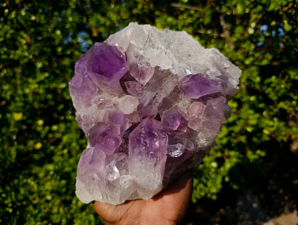 Natural Jacaranda Amethyst Cluster x 1 From Zambia