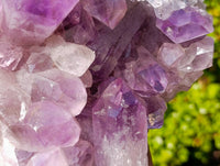 Natural Jacaranda Amethyst Cluster x 1 From Zambia