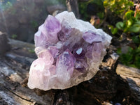 Natural Jacaranda Amethyst Cluster x 1 From Zambia