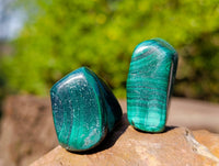Polished Flower Malachite Free Forms x 35 From Congo