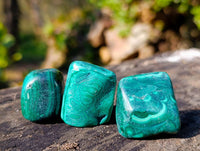 Polished Flower Malachite Free Forms x 35 From Congo