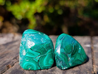 Polished Flower Malachite Free Forms x 35 From Congo