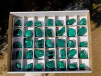Polished Flower Malachite Free Forms x 35 From Congo