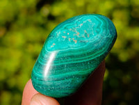 Polished Flower Malachite Free Forms x 35 From Congo