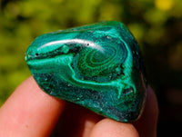 Polished Flower Malachite Free Forms x 35 From Congo