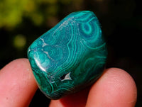 Polished Flower Malachite Free Forms x 35 From Congo