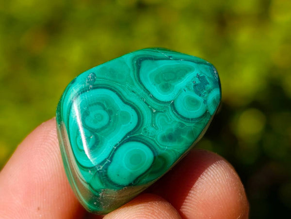 Polished Flower Malachite Free Forms x 35 From Congo