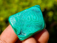 Polished Flower Malachite Free Forms x 35 From Congo