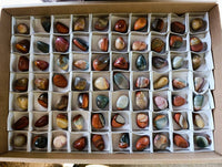 Polished Polychrome Jasper Palm Stones x 70 From Madagascar