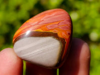 Polished Polychrome Jasper Palm Stones x 70 From Madagascar