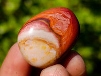 Polished Polychrome Jasper Palm Stones x 70 From Madagascar