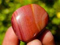 Polished Polychrome Jasper Palm Stones x 70 From Madagascar