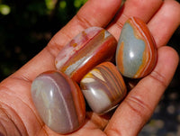 Polished Polychrome Jasper Palm Stones x 70 From Madagascar