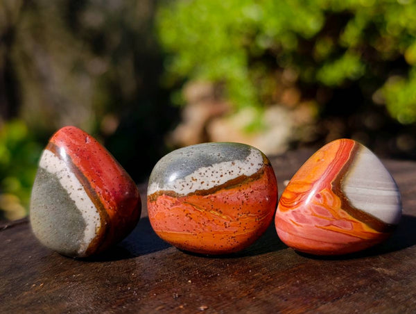 Polished Polychrome Jasper Palm Stones x 70 From Madagascar