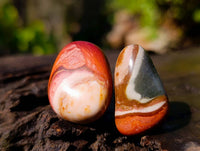 Polished Polychrome Jasper Palm Stones x 70 From Madagascar