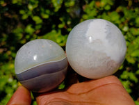 Polished Sashe River Agate Spheres x 6 From Zimbabwe