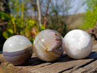 Polished Sashe River Agate Spheres x 6 From Zimbabwe
