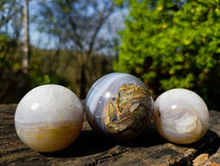 Polished Sashe River Agate Spheres x 6 From Zimbabwe