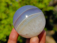 Polished Sashe River Agate Spheres x 6 From Zimbabwe