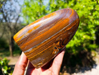 Polished Banded Tiger Iron with Tigers Eye Standing Free Forms x 3 From South Africa