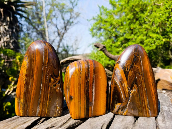 Polished Banded Tiger Iron with Tigers Eye Standing Free Forms x 3 From South Africa