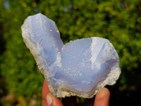 Natural Blue Lace Agate Geode Specimens x 12 From Malawi