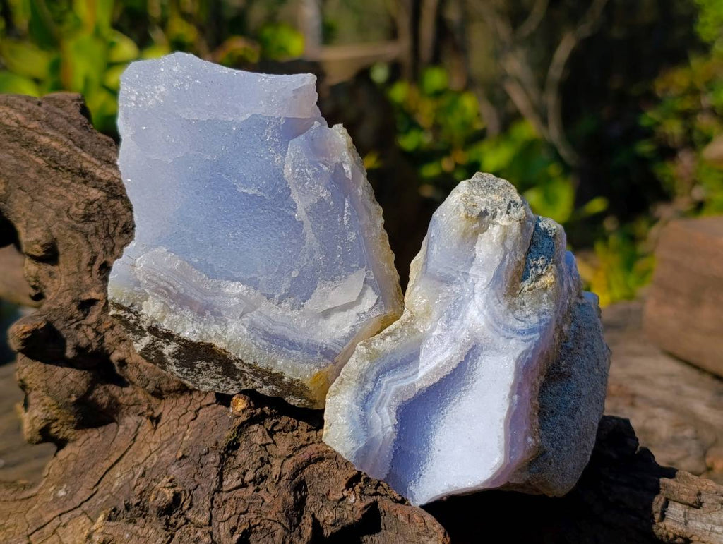 Natural Blue Lace Agate Geode Specimens x 12 From Malawi - Toprock Gemstones and Minerals 