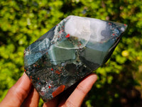 Polished Bloodstone Points x 3 From Swaziland