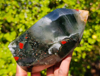 Polished Bloodstone Points x 3 From Swaziland