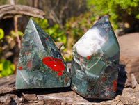 Polished Bloodstone Points x 3 From Swaziland
