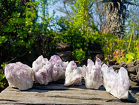 Natural Sugar Amethyst Clusters x 6 From Zambia