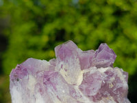 Natural Sugar Amethyst Clusters x 6 From Zambia
