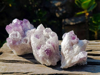 Natural Sugar Amethyst Clusters x 6 From Zambia