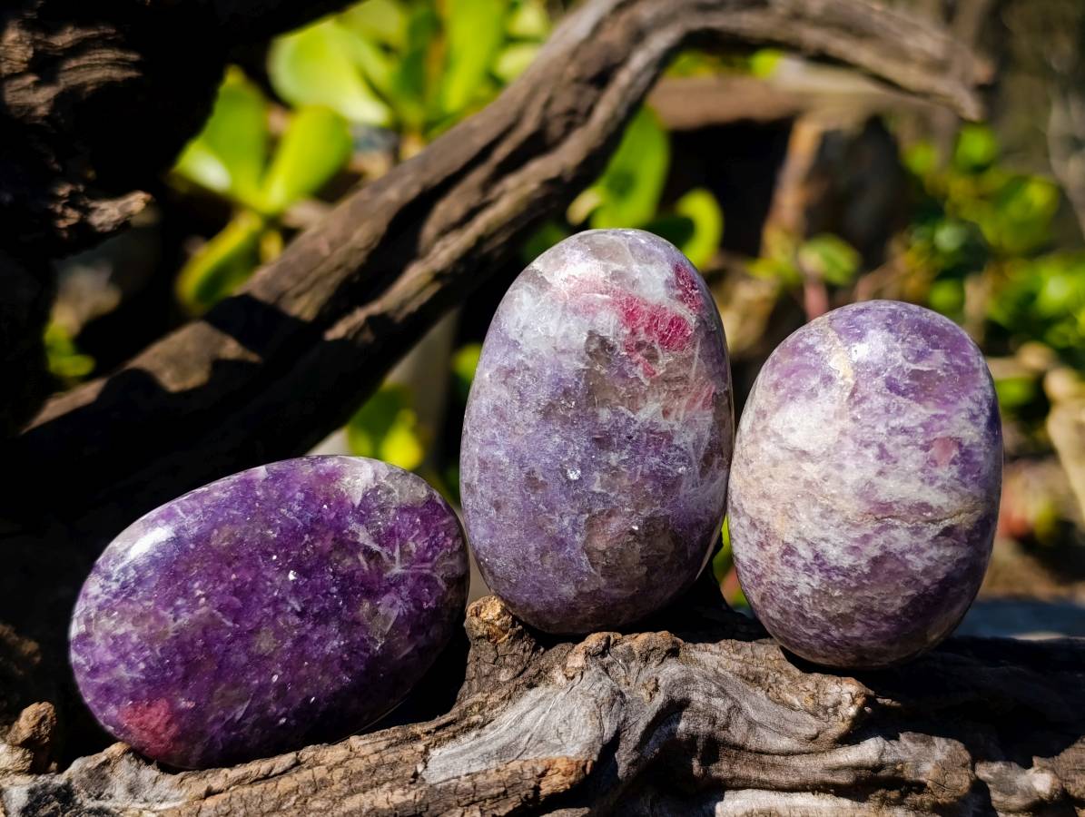 Polished Lepidolite with Pink Rubellite Palm Stones x 12 From Ambatondrazaka, Madagascar - Toprock Gemstones and Minerals 