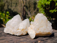 Natural Candle Quartz Clusters x 6 From Madagascar