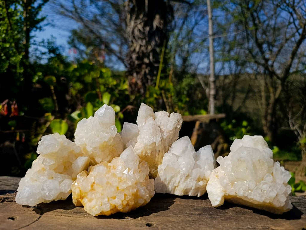Natural Candle Quartz Clusters x 6 From Madagascar - Toprock Gemstones and Minerals 