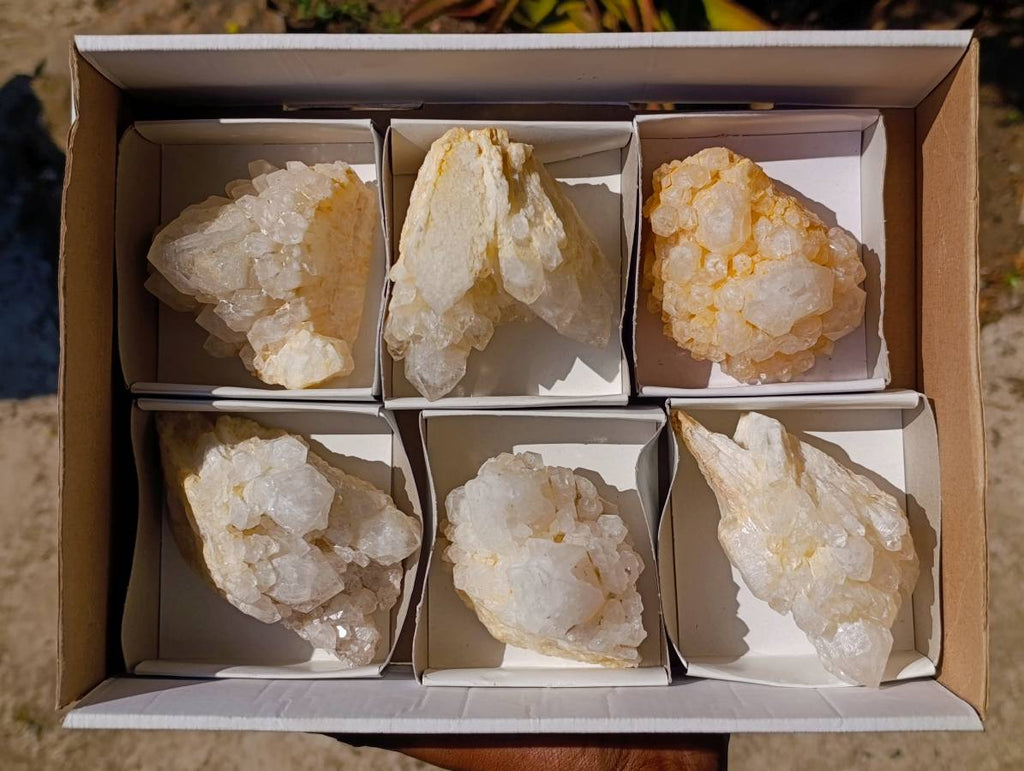 Natural Candle Quartz Clusters x 6 From Madagascar - Toprock Gemstones and Minerals 